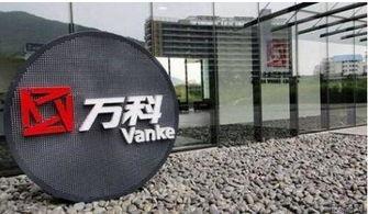 万科爆料最新消息今天,揭秘行业变革背后的秘密！”  第3张